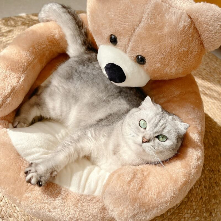 Azura | Cute detachable cuddly bear cat bed