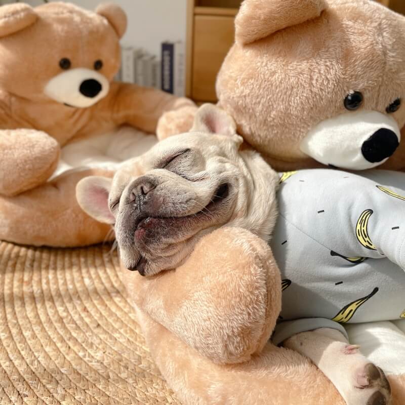 Azura | Cute detachable cuddly bear cat bed