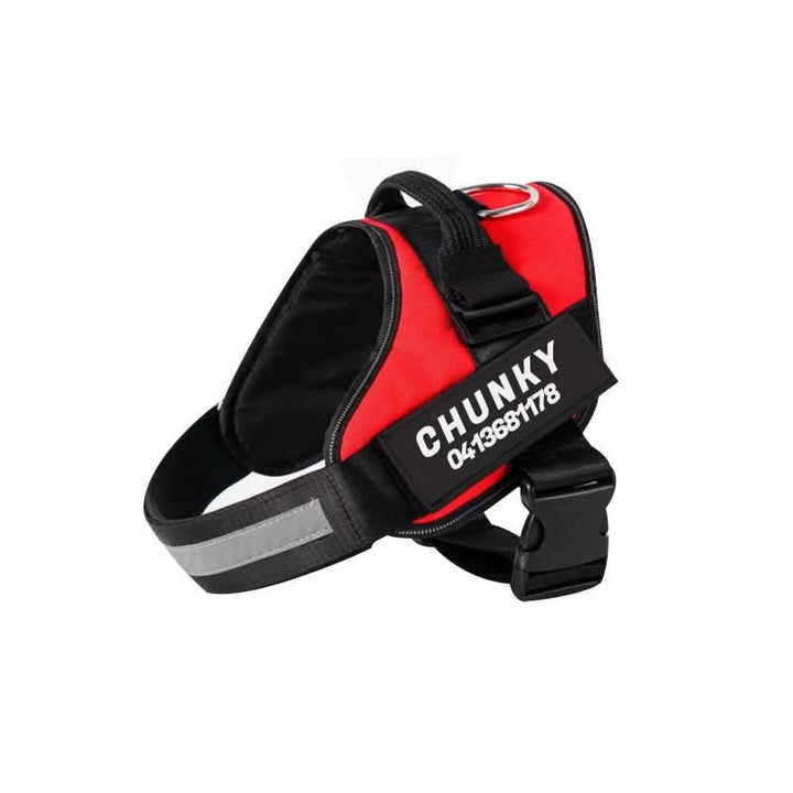 Azura | DOGSAFE HARNESS – Safety dog harness with name tag & reflectors