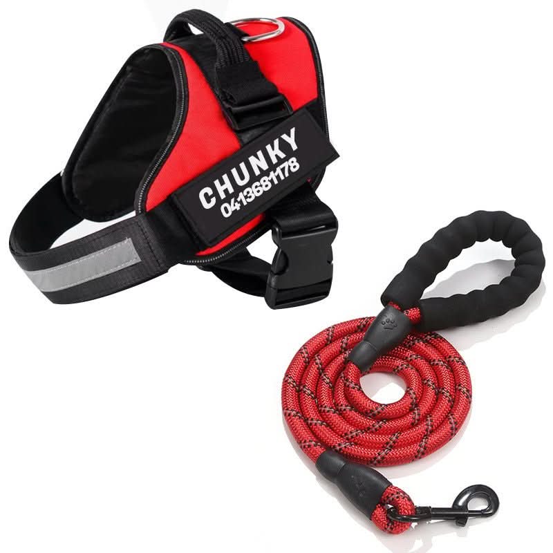 Azura | DOGSAFE HARNESS – Safety dog harness with name tag & reflectors