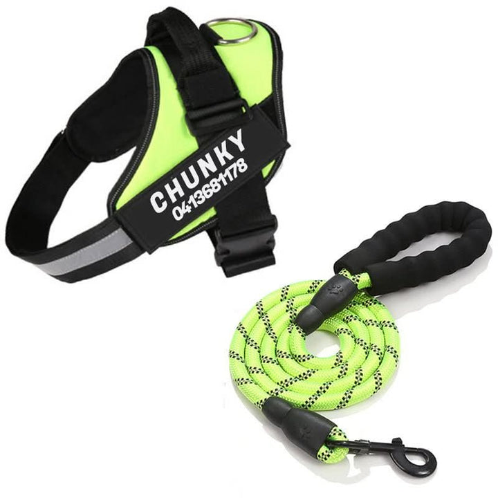 Azura | Safety Dog Harness with Name Tag & Reflectors