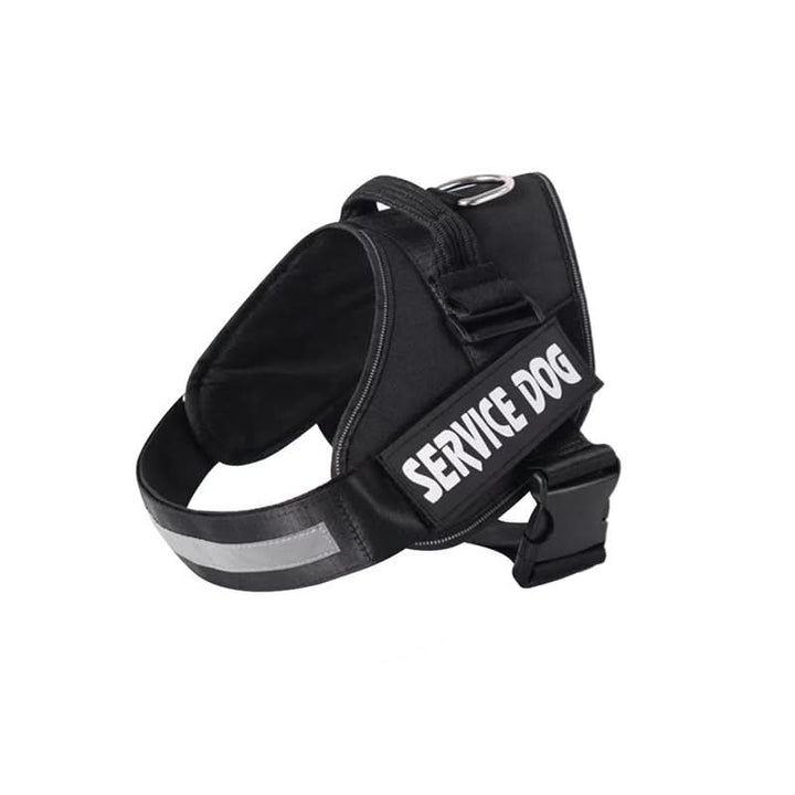 Azura | Safety Dog Harness with Name Tag & Reflectors