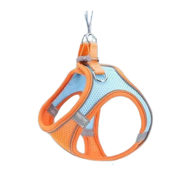 Adventurous Cat Harness with Leash – Adjustable and Reflective | Azura