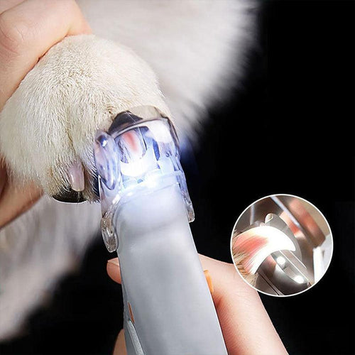 Azura | MAX - The best nail clippers for dogs with quick sensors