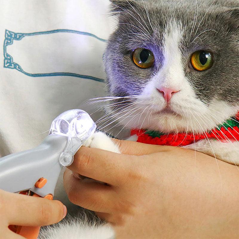 Azura | MAX - The best nail clippers for dogs with quick sensors
