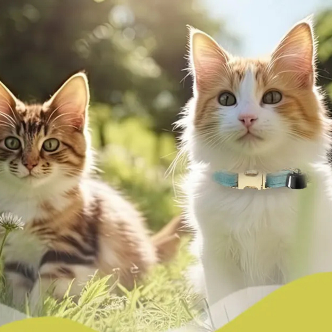 Azura | Pet Tracker Mini – Smart Bluetooth Animal Locator with Collar and Bell