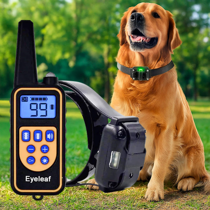 Azura | 800M Rechargeable Electric Dog Training Collar | Waterproof, Remote Control & Ideal for Effective Dog Training