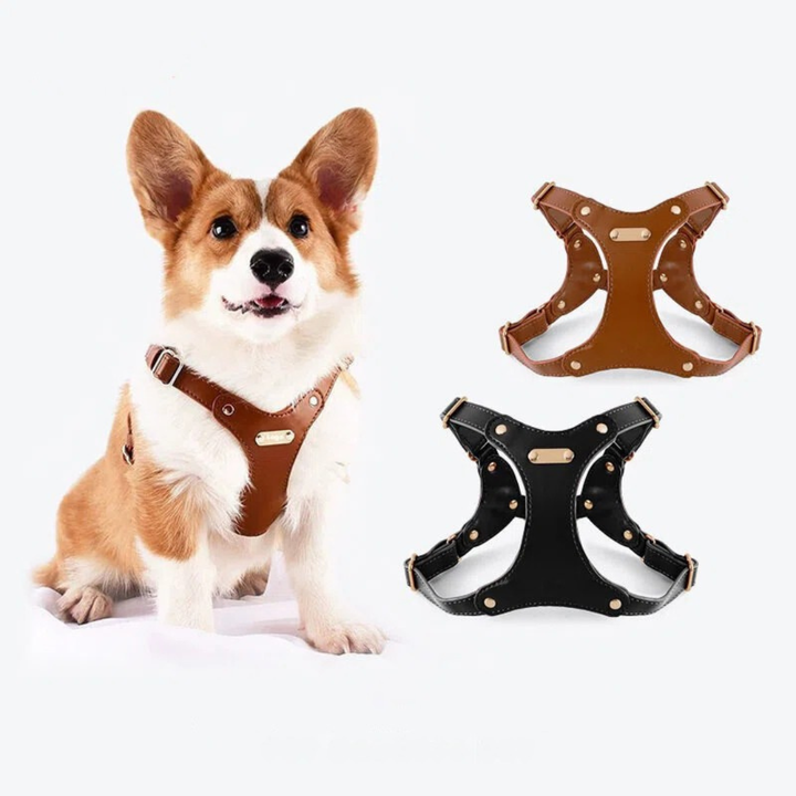 Adjustable Leather Dog Harness with Custom Engraving Azura