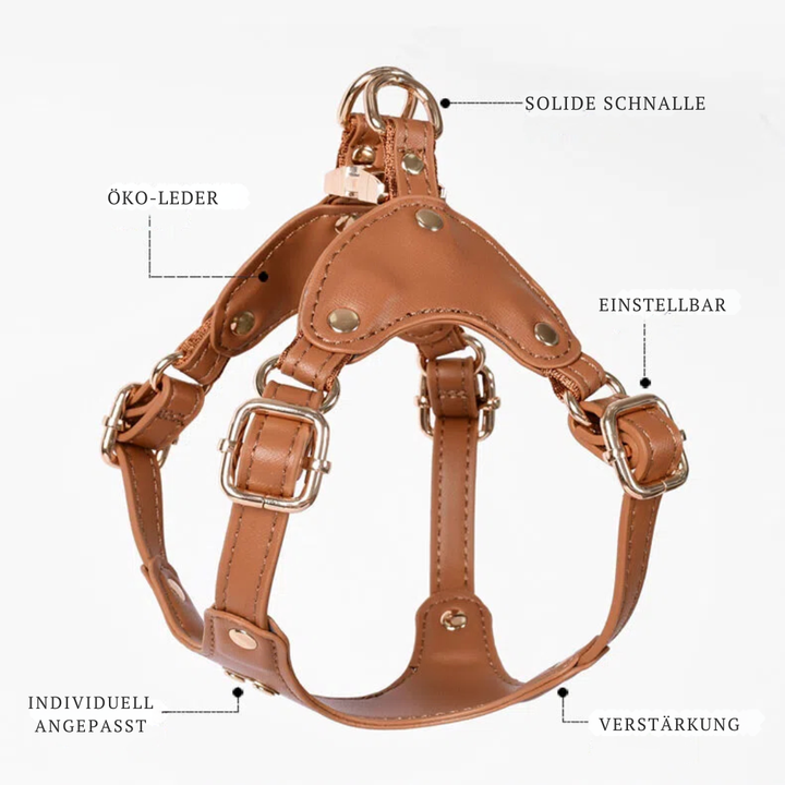 Adjustable Leather Dog Harness with Custom Engraving Azura
