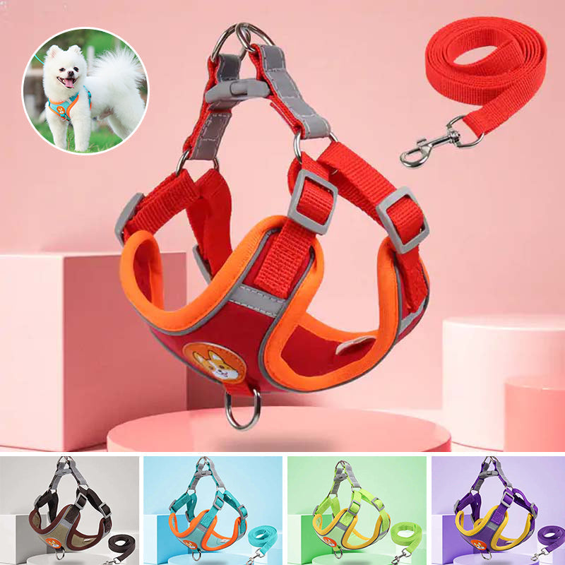 Azura | Reflective Pet Harness and Leash Set