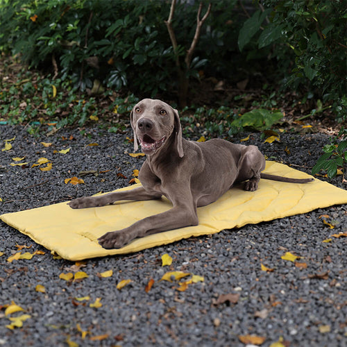 Azura | Folding Waterproof Portable Dog Car Seat Mat Dog Camping Mat