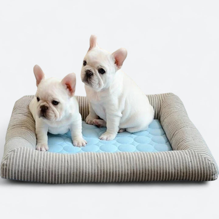 FurChill Frenchie Breathable Dog Bed – Cooling Mat with Non-Slip Base for Hot Days | Azura