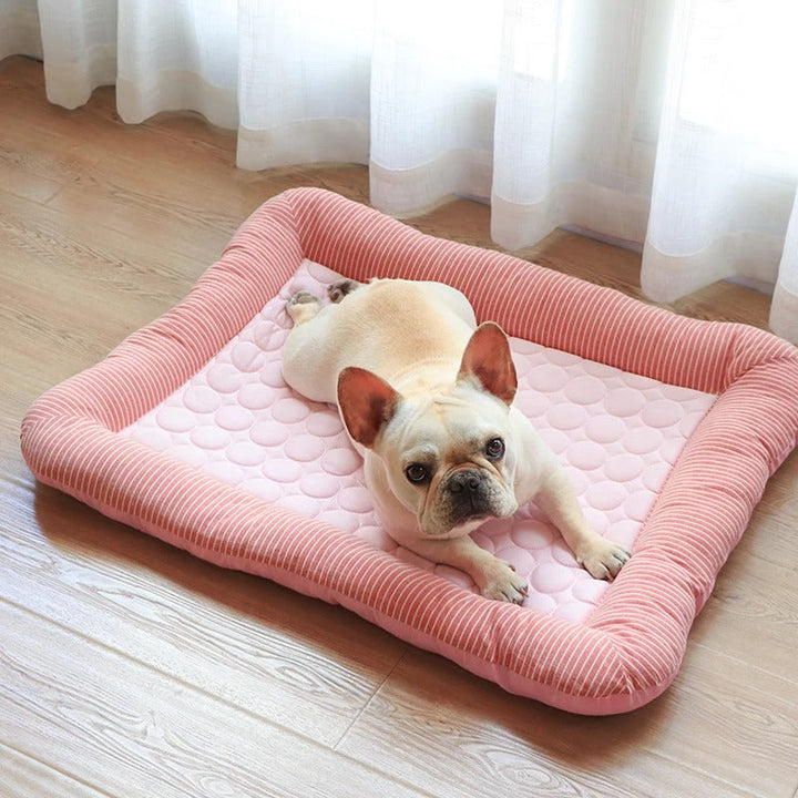 FurChill Frenchie Breathable Dog Bed – Cooling Mat with Non-Slip Base for Hot Days | Azura