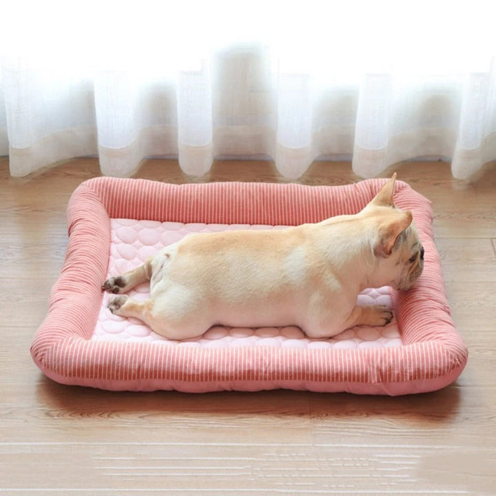 FurChill Frenchie Breathable Dog Bed – Cooling Mat with Non-Slip Base for Hot Days | Azura
