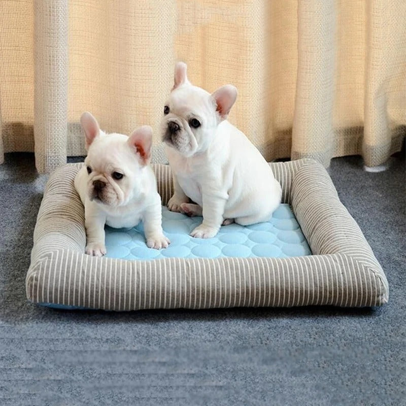 FurChill Frenchie Breathable Dog Bed – Cooling Mat with Non-Slip Base for Hot Days | Azura