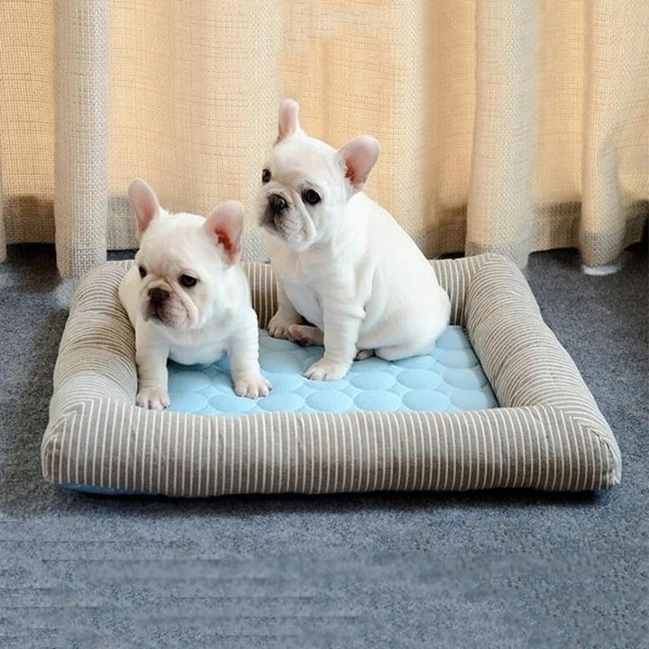 FurChill Frenchie Breathable Dog Bed – Cooling Mat with Non-Slip Base for Hot Days | Azura