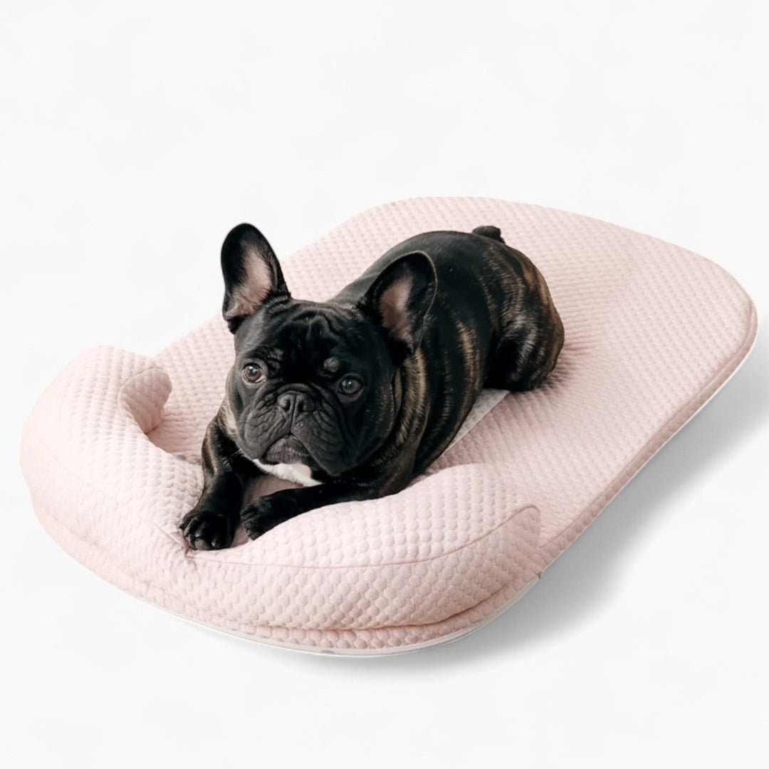 FurCool French Bulldog Cooling Mat – Breathable Washable Summer Silk Bed | Azura