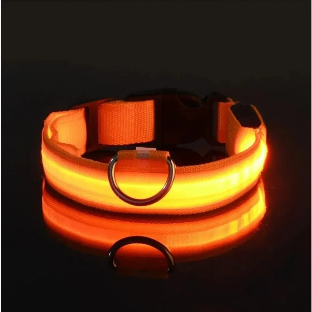 Azura | LED Safety Dog Collar with Adjustable Fit