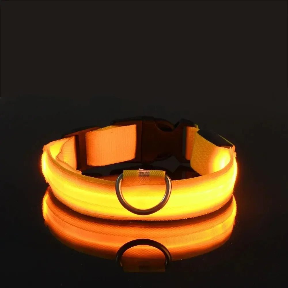 Azura | LED Safety Dog Collar with Adjustable Fit