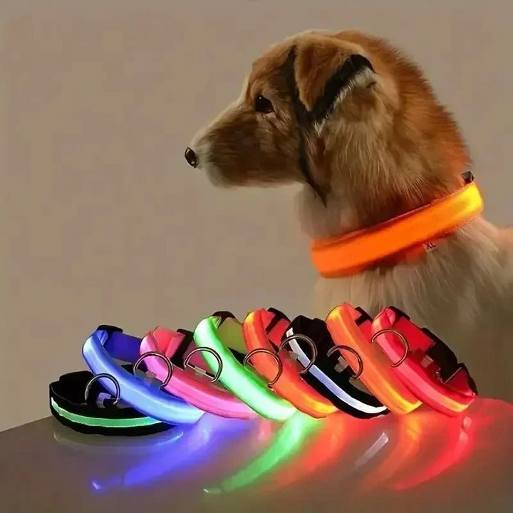 Azura | LED Safety Dog Collar with Adjustable Fit