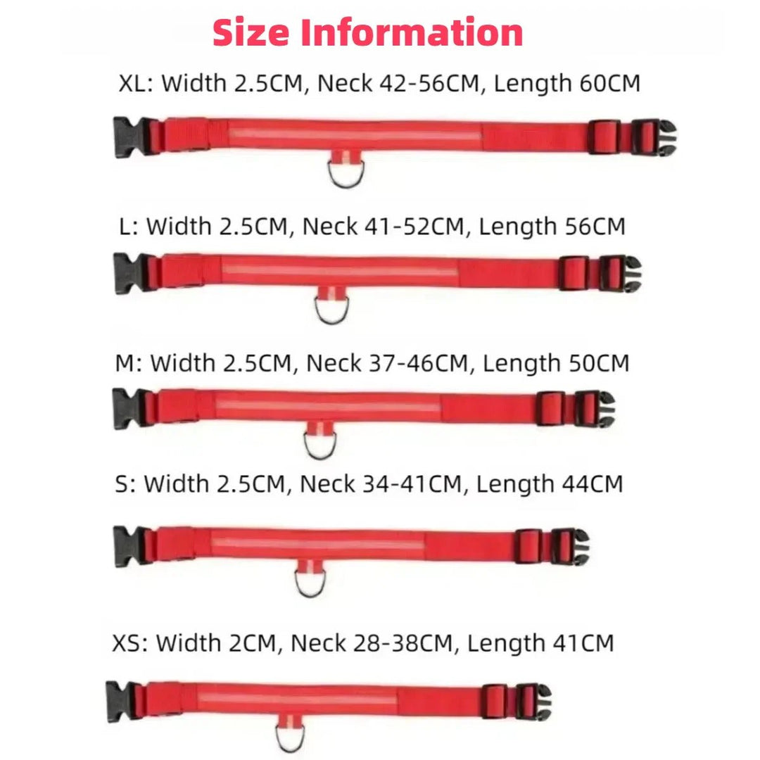 Azura | LED Safety Dog Collar with Adjustable Fit