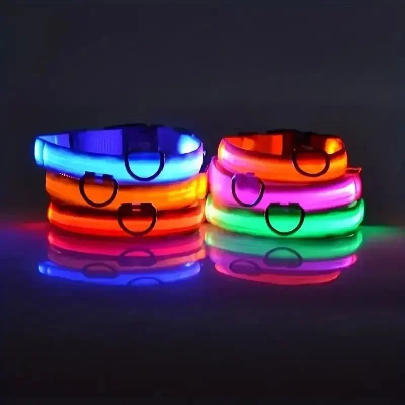 Azura | LED Safety Dog Collar with Adjustable Fit