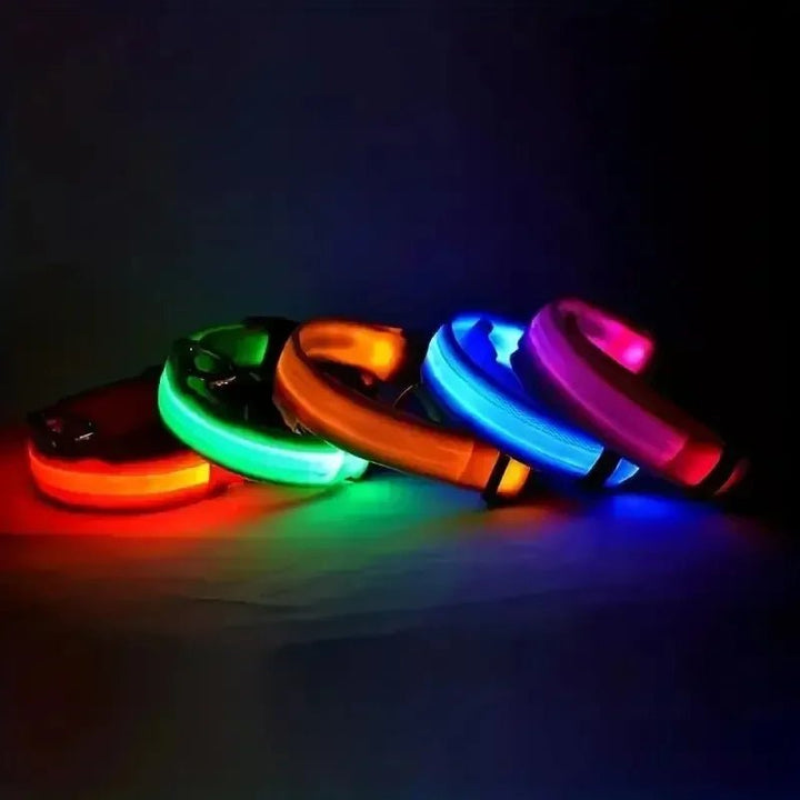 Azura | LED Safety Dog Collar with Adjustable Fit