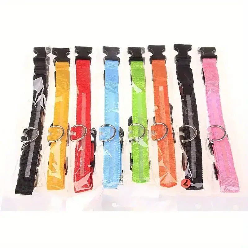 Azura | LED Safety Dog Collar with Adjustable Fit