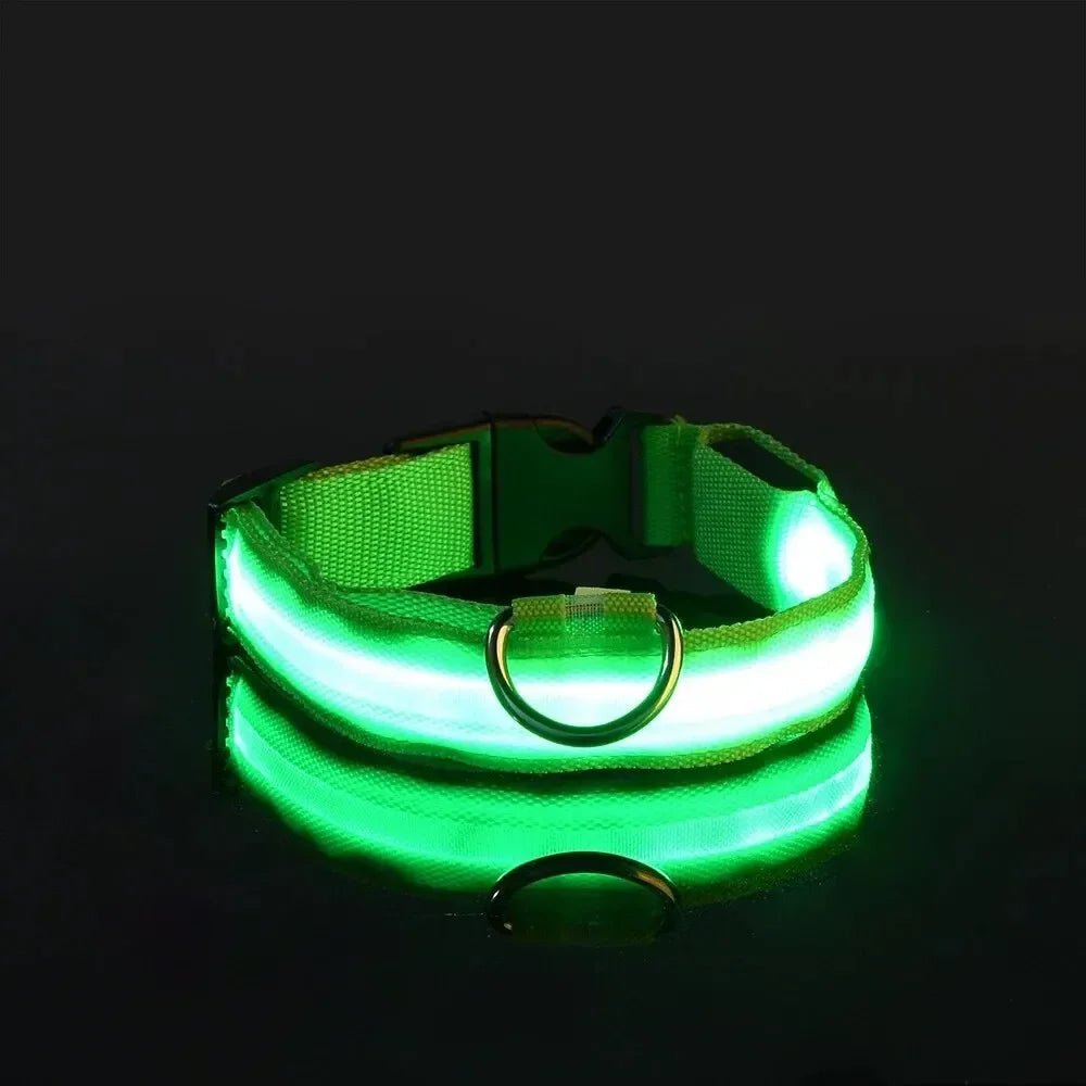 Azura | LED Safety Dog Collar with Adjustable Fit