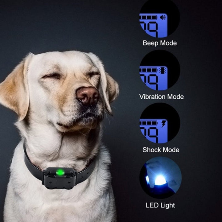 Azura | Long Shot Electric Dog Training Waterproof Collar