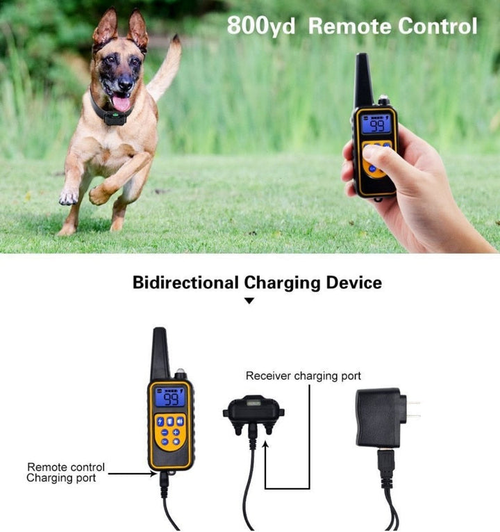 Azura | Long Shot Electric Dog Training Waterproof Collar