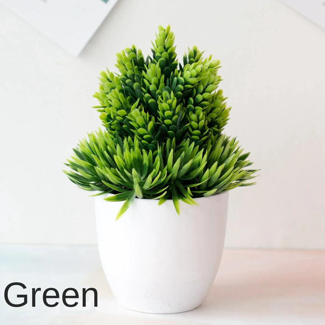 BowLift | Small Tree Pot Bonsai Plants