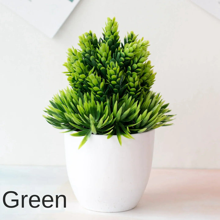 BowLift | Small Tree Pot Bonsai Plants
