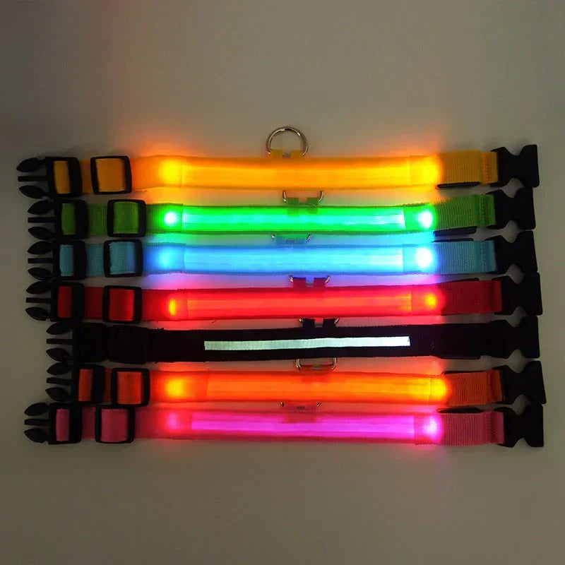 Azura | GlowPets LED Collar – Safety & Visibility for Pets