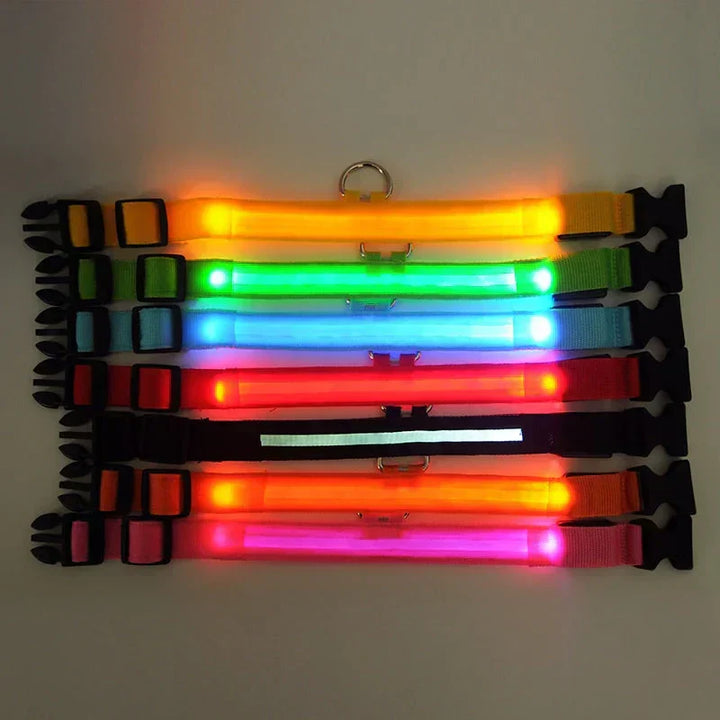 Azura | GlowPets LED Collar – Safety & Visibility for Pets