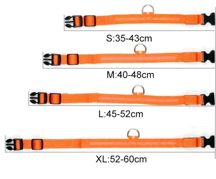 Azura | GlowPets LED Collar – Safety & Visibility for Pets