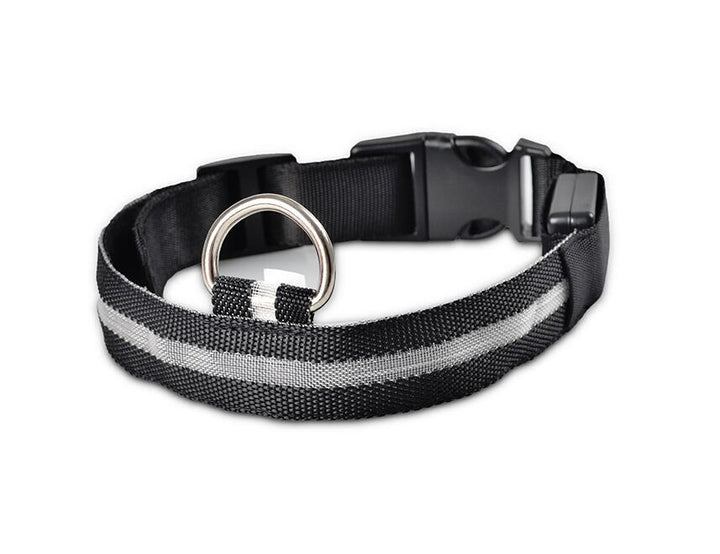 Azura | GlowPets LED Collar – Safety & Visibility for Pets