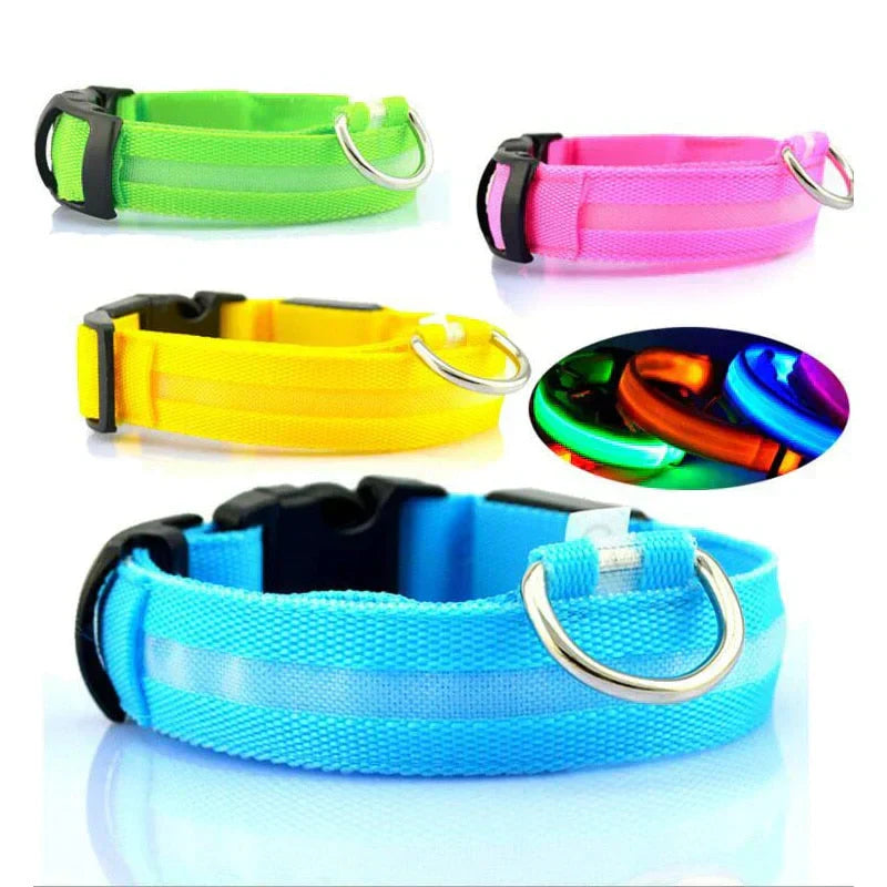 Azura | GlowPets LED Collar – Safety & Visibility for Pets