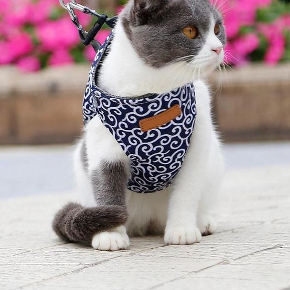Azura | Cat vest harness and leash set for walks