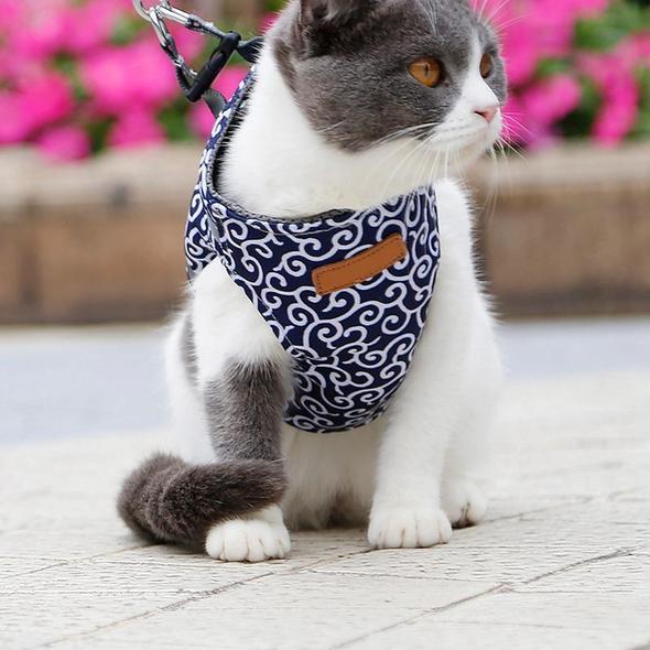 Azura | Cat Vest Harness and Leash Set to Outdoor Walking