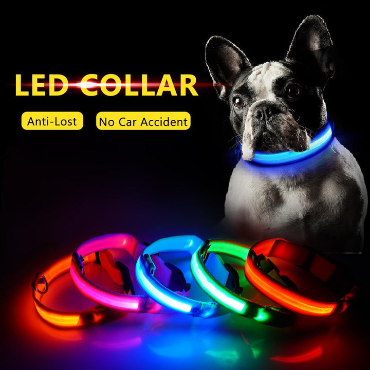 Azura | Light Up Dog Collar - Flashing Dog Collar