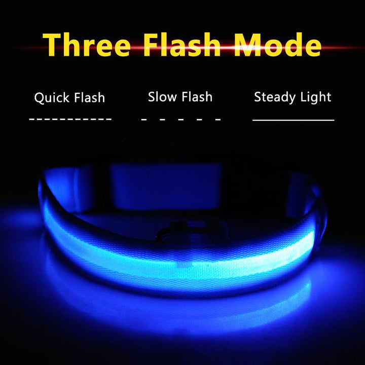 Azura | Light Up Dog Collar - Flashing Dog Collar