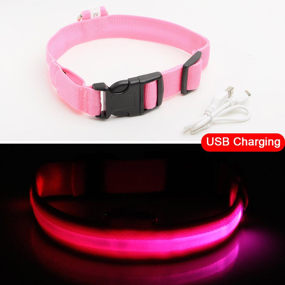 Azura | Light Up Dog Collar - Flashing Dog Collar