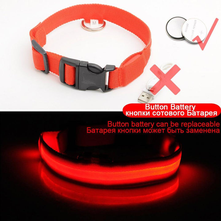 Azura | Light Up Dog Collar - Flashing Dog Collar