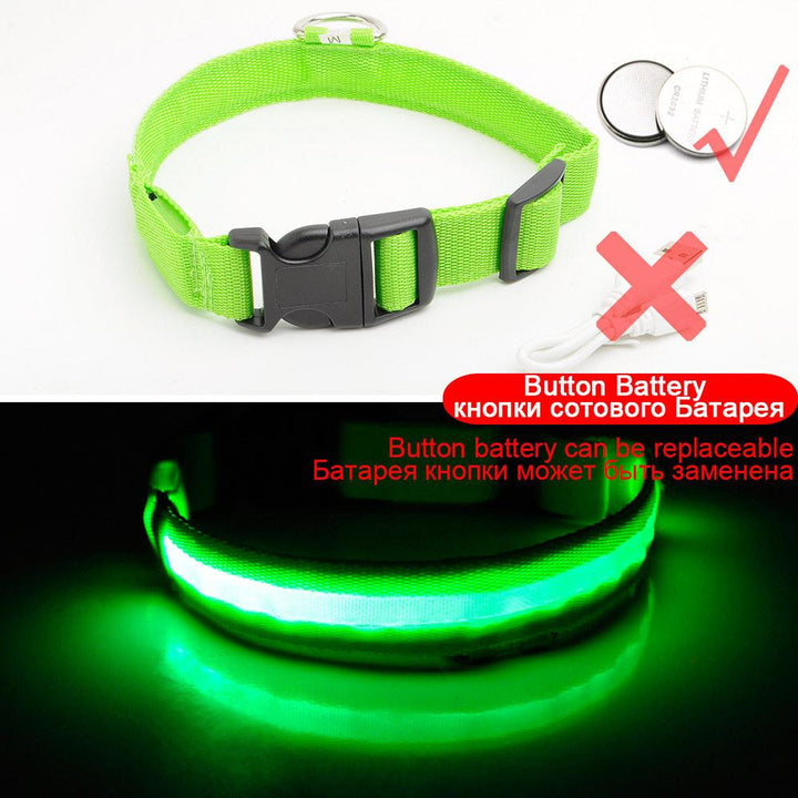 Azura | Light Up Dog Collar - Flashing Dog Collar