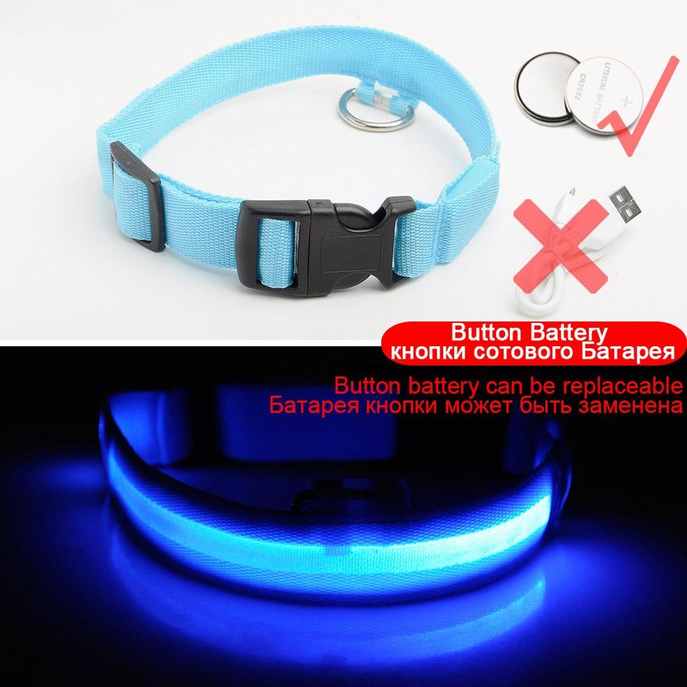 Azura | Light Up Dog Collar - Flashing Dog Collar