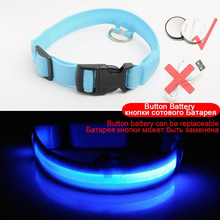 Azura | Light Up Dog Collar - Flashing Dog Collar