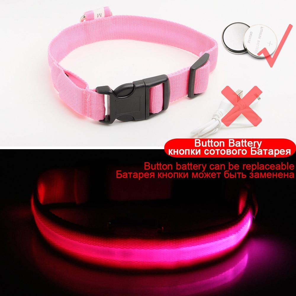 Azura | Light Up Dog Collar - Flashing Dog Collar