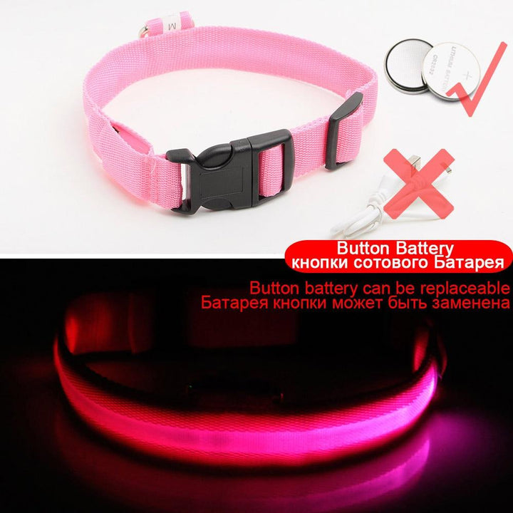 Azura | Light Up Dog Collar - Flashing Dog Collar