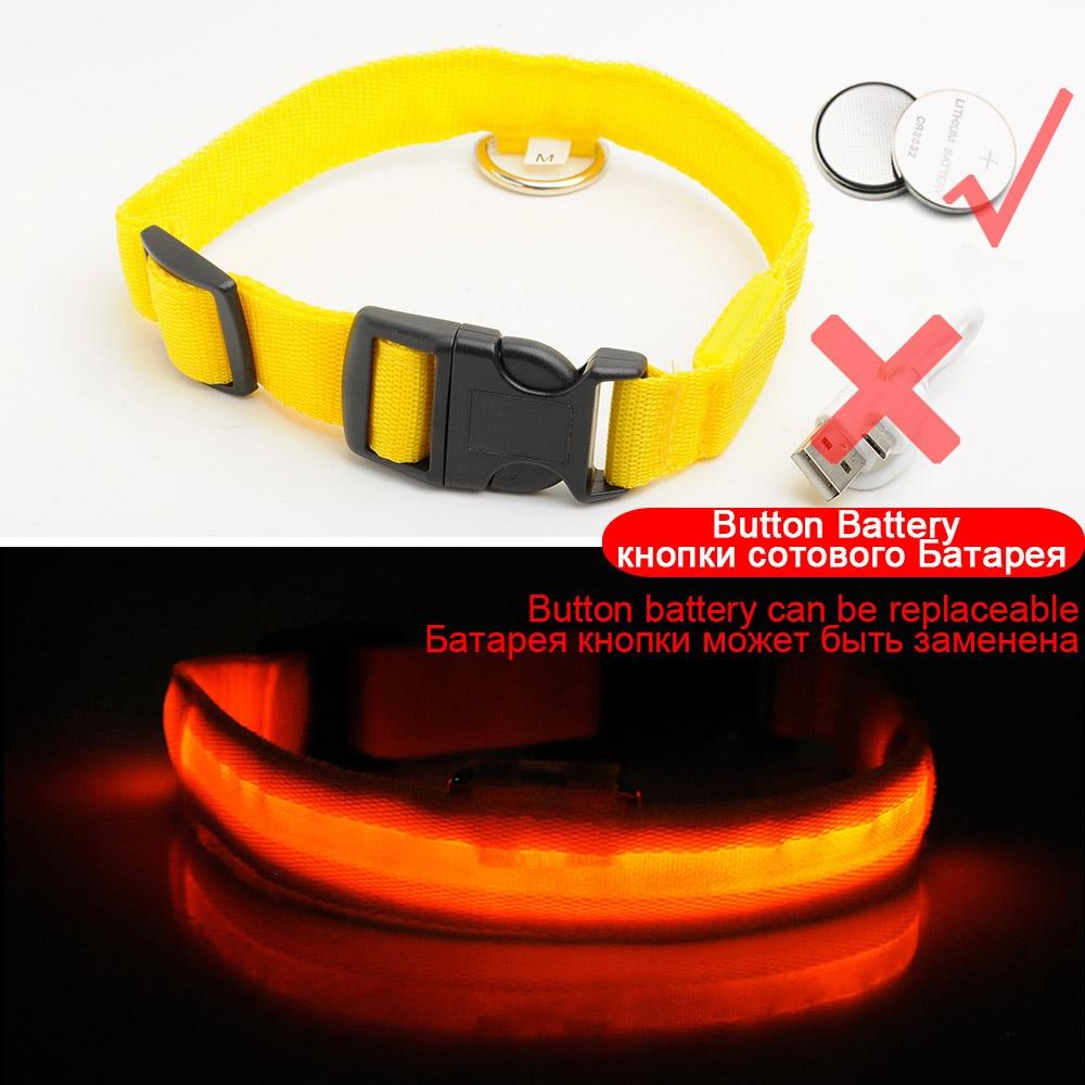 Azura | Light Up Dog Collar - Flashing Dog Collar